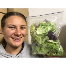 LETTUCE MIX BAG  200 Gram Katikati Grown